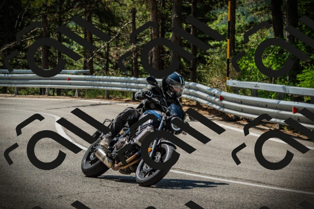 202507201120-DSC06012_c1_