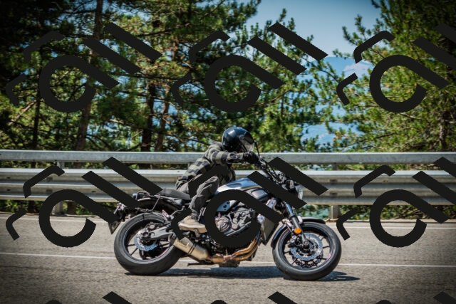 202507201120-DSC06013_c1_