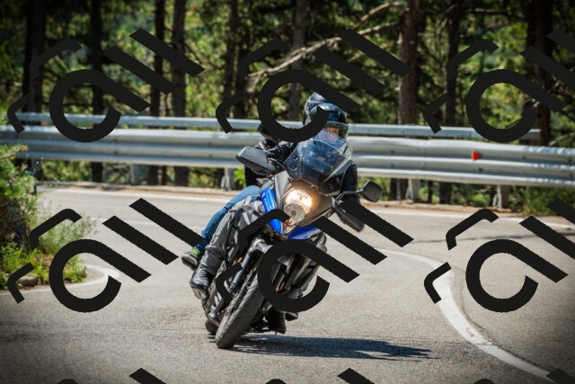 202507201120-DSC06015_c1_