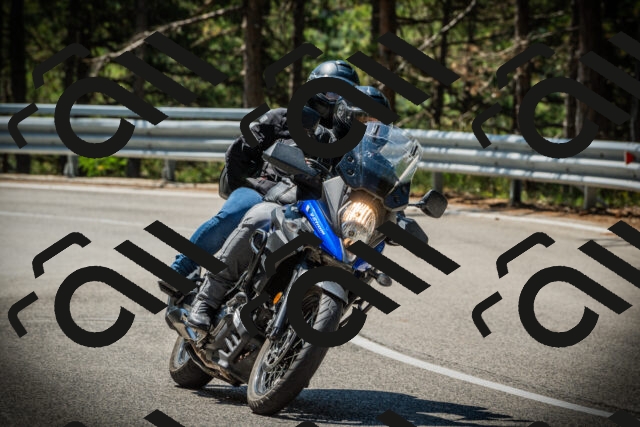 202507201120-DSC06016_c1_