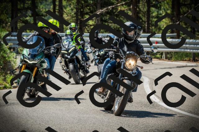 202507201120-DSC06021_c1_