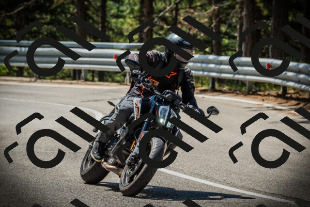 202507201121-DSC06029_c1_