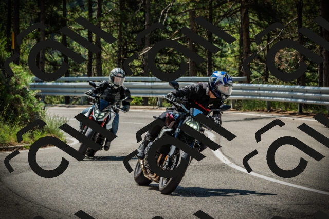 202507201123-DSC06088_c1_