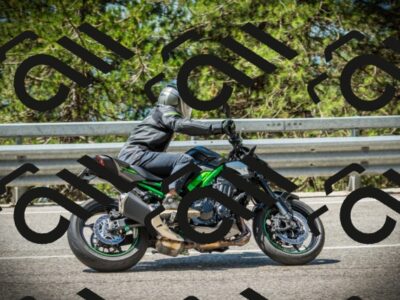 202507201129-DSC06146_c1_