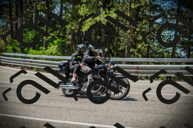 202507201130-DSC06173_c1_