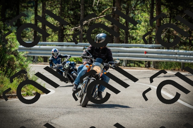 202507201130-DSC06178_c1_