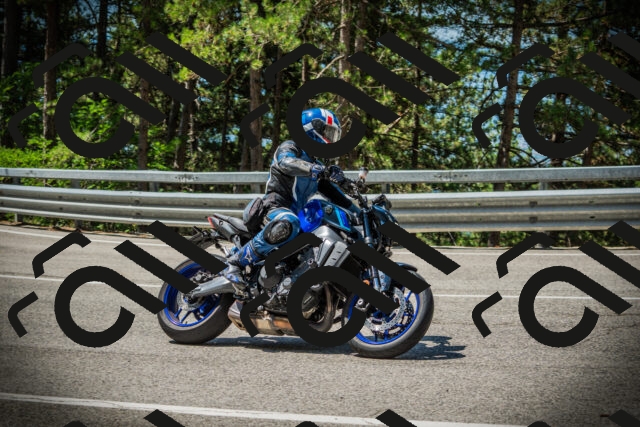 202507201130-DSC06181_c1_