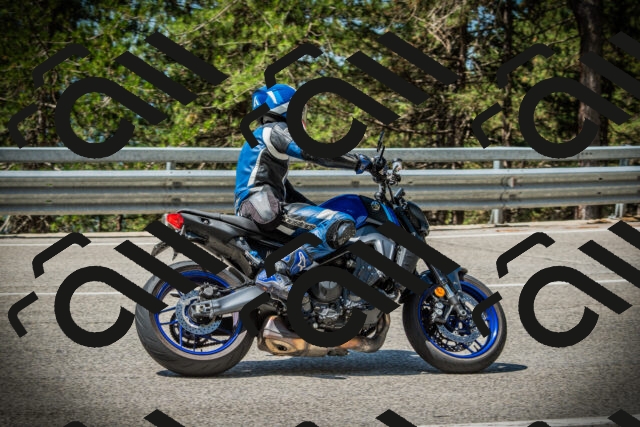 202507201130-DSC06182_c1_