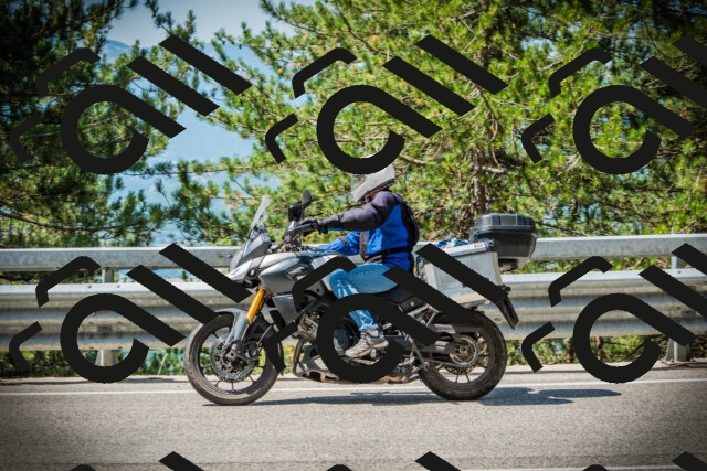 202507201131-DSC06187_c1_