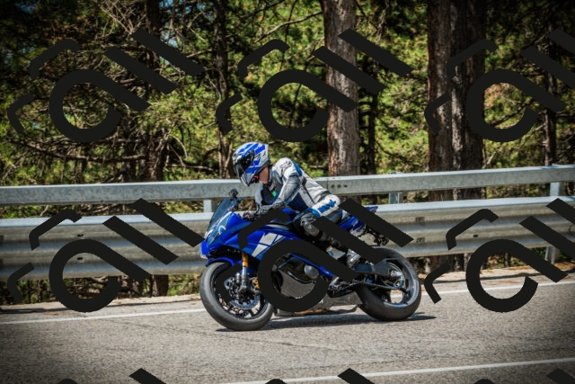 202507201131-DSC06196_c1_