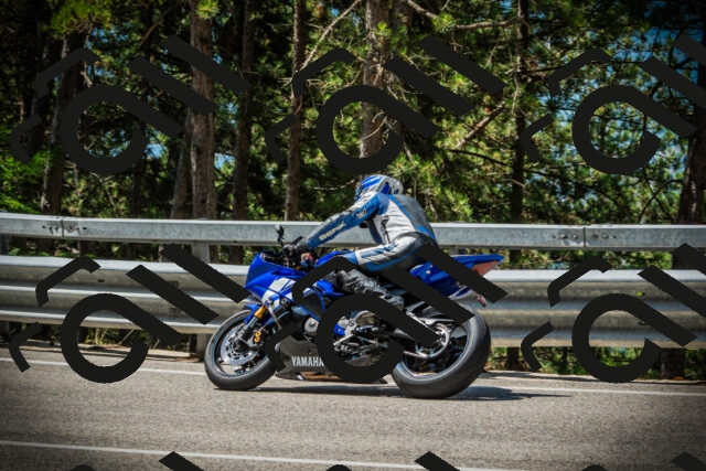 202507201131-DSC06197_c1_