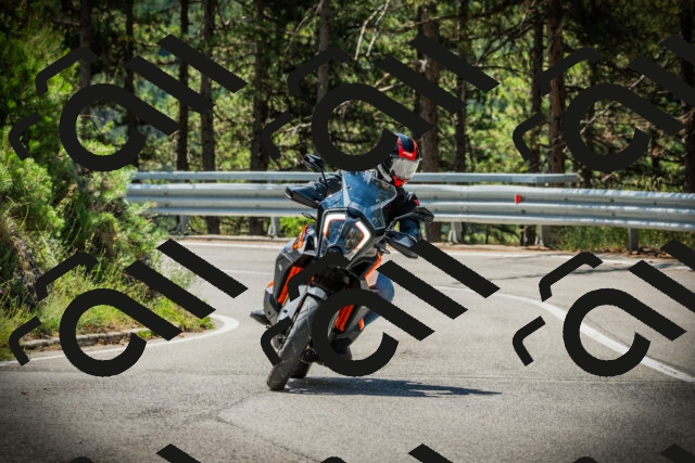 202507201132-DSC06215_c1_