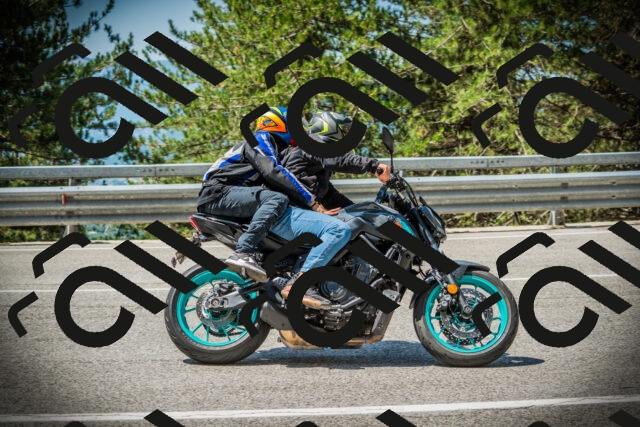 202507201133-DSC06222_c1_