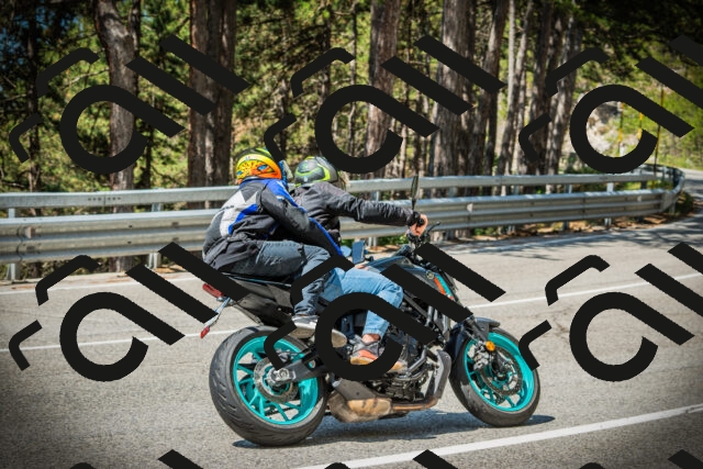 202507201133-DSC06223_c1_