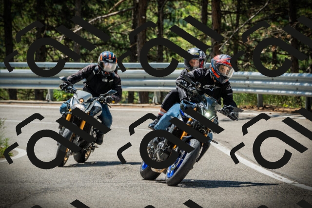 202507201133-DSC06226_c1_