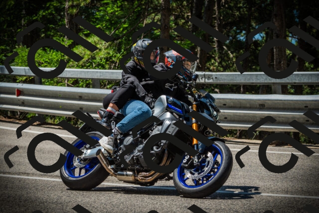 202507201133-DSC06227_c1_