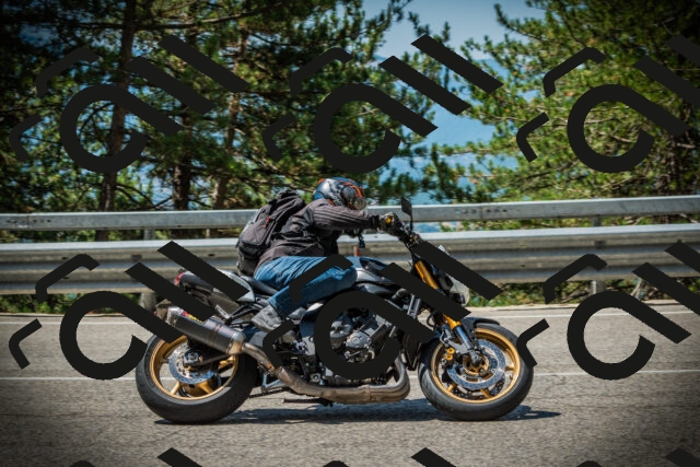 202507201133-DSC06228_c1_