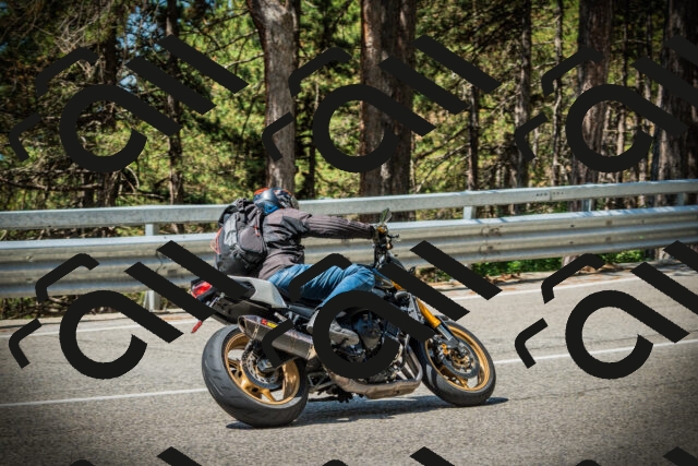 202507201133-DSC06229_c1_