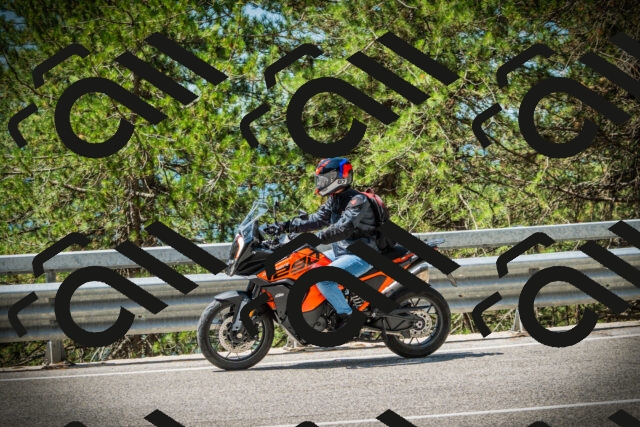 202507201133-DSC06234_c1_