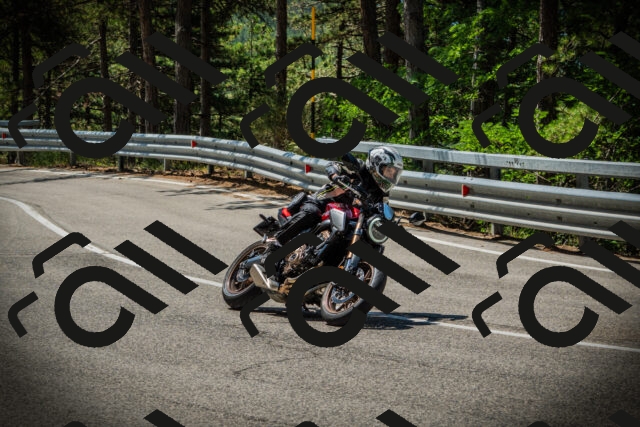 202507201134-DSC06239_c1_