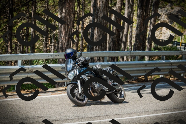 202507201139-DSC06304_c1_