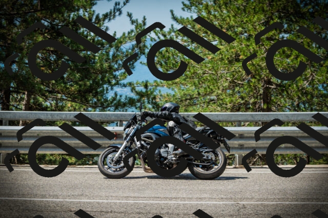 202507201139-DSC06305_c1_