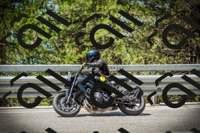 202507201139-DSC06308_c1_