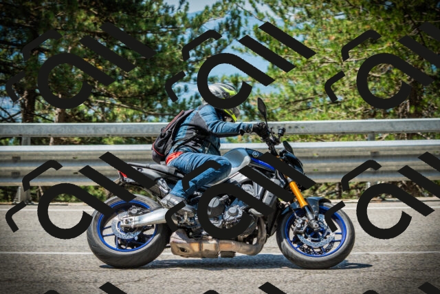 202507201139-DSC06309_c1_