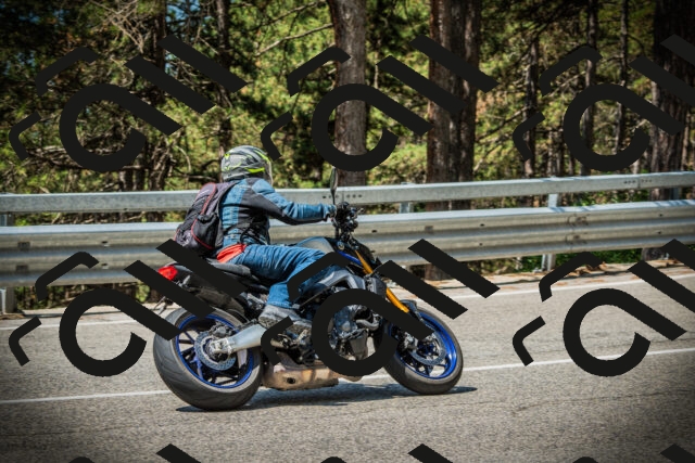 202507201139-DSC06310_c1_