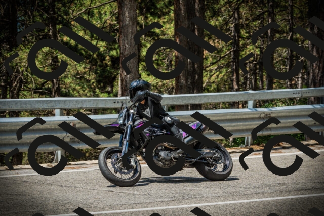 202507201139-DSC06311_c1_