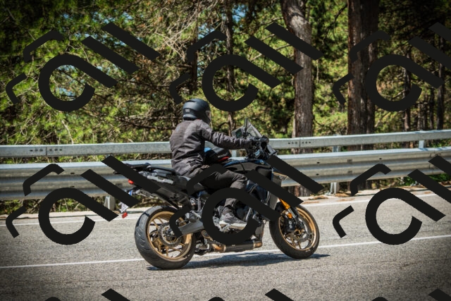 202507201139-DSC06316_c1_