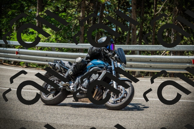 202507201140-DSC06335_c1_