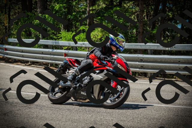 202507201144-DSC06407_c1_