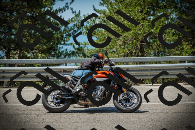 202507201144-DSC06412_c1_