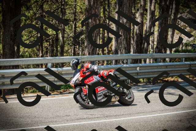 202507201145-DSC06433_c1_