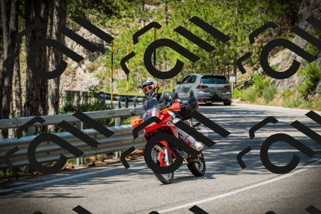 202507201146-DSC06442_c1_