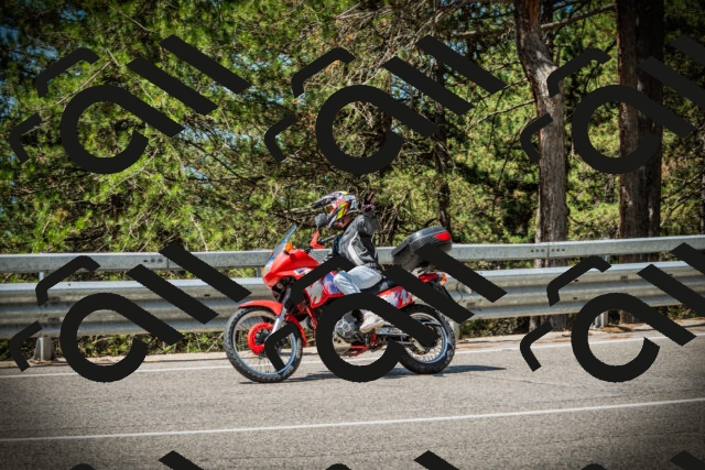 202507201146-DSC06443_c1_