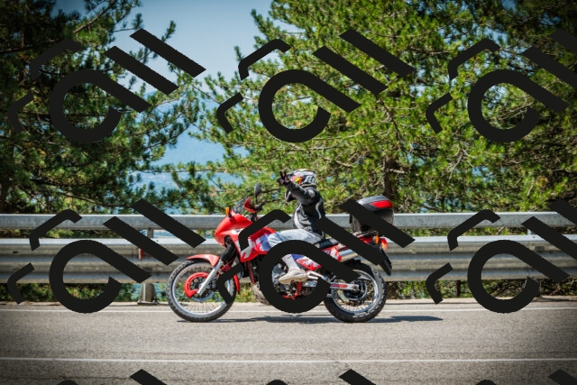 202507201146-DSC06444_c1_