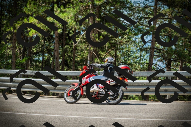 202507201146-DSC06445_c1_