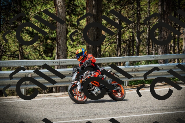 202507201146-DSC06453_c1_