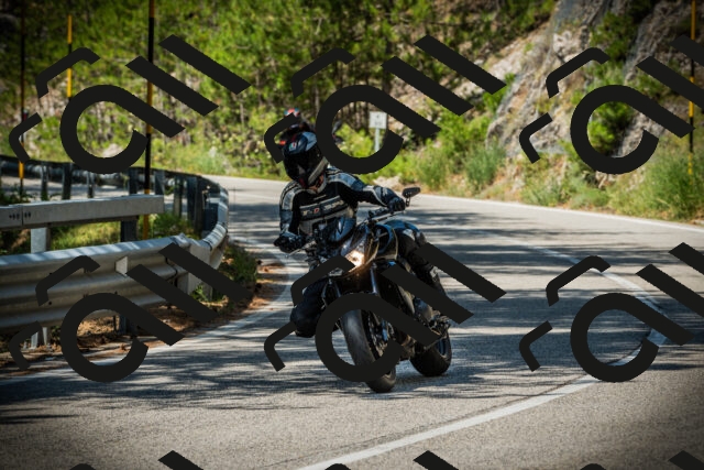 202507201146-DSC06455_c1_