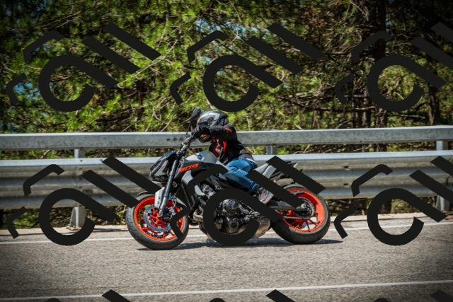 202507201146-DSC06459_c1_