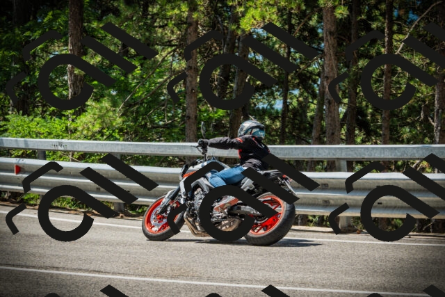 202507201146-DSC06461_c1_