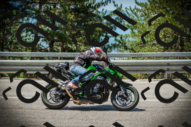 202507201146-DSC06464_c1_