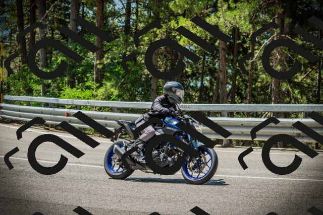 202507201150-DSC06511_c1_