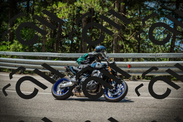 202507201152-DSC06541_c1_