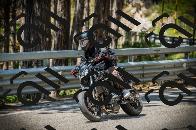 202507201152-DSC06550_c1_