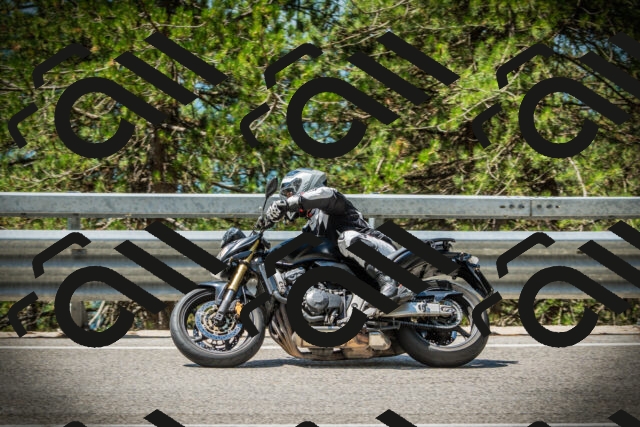 202507201153-DSC06569_c1_