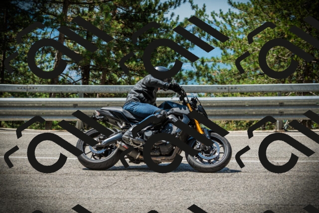 202507201155-DSC06593_c1_