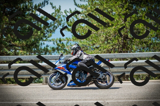 202507201156-DSC06618_c1_